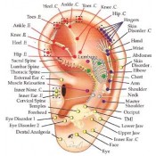 Auriculotherapy (0)